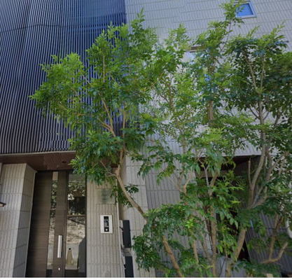東洋学園大学 マンション 1LDK